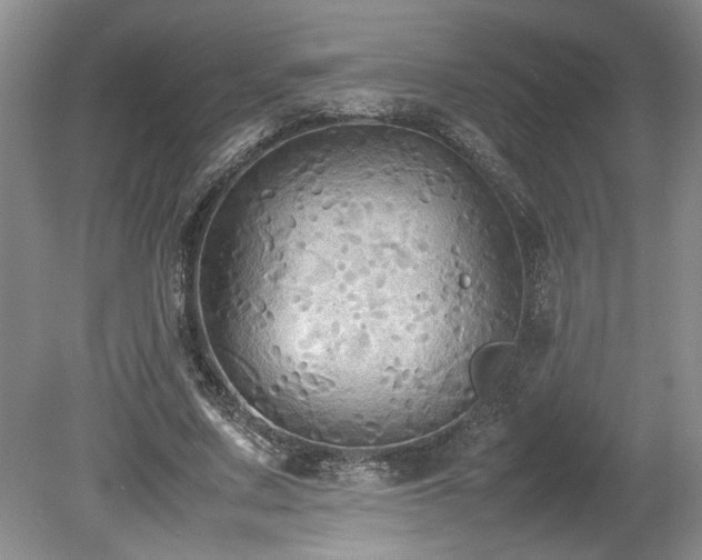 X0000078840683200611131149