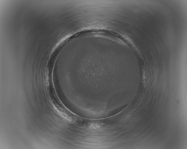 X0000078840684200611131149