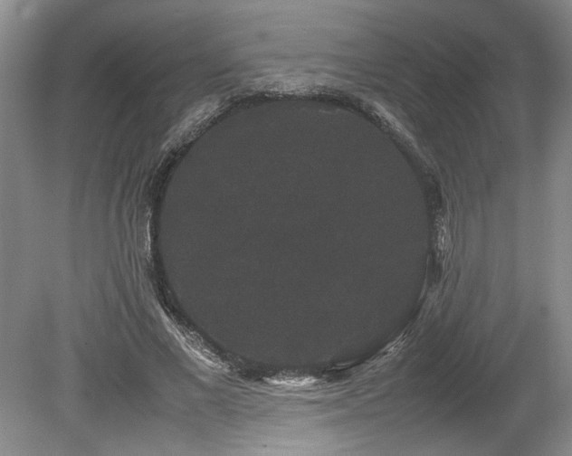 X0000078840685200611131149