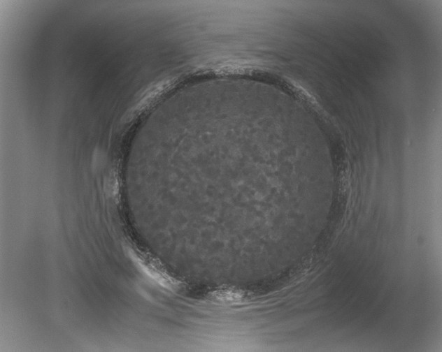 X0000078840687200611131149