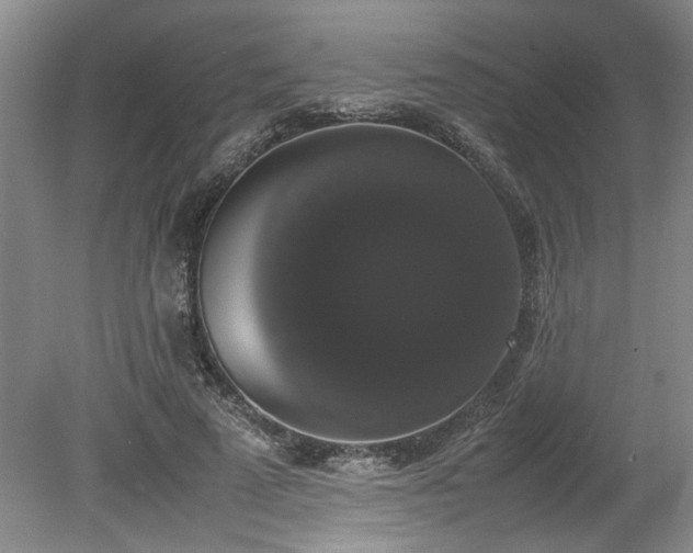 X0000078840689200611131149