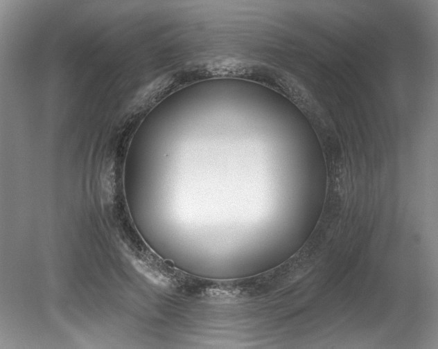 X0000078840690200611131149