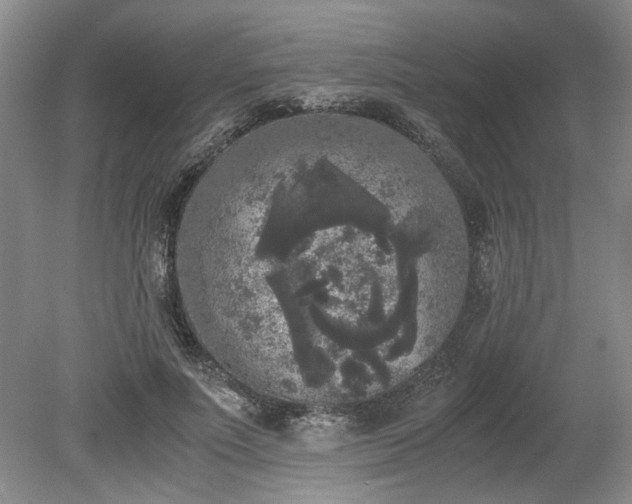 X0000078840691200611131149