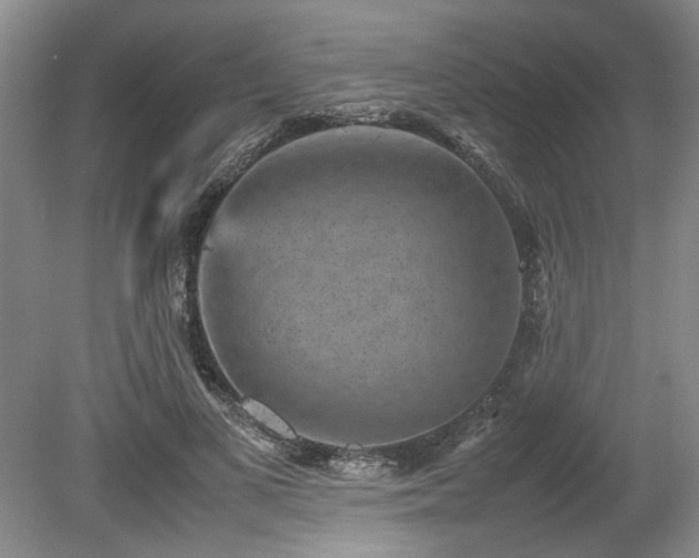 X0000078840693200611131149