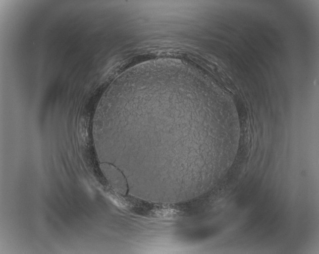 X0000078840695200611131149