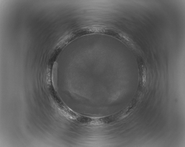 X0000078840696200611131149