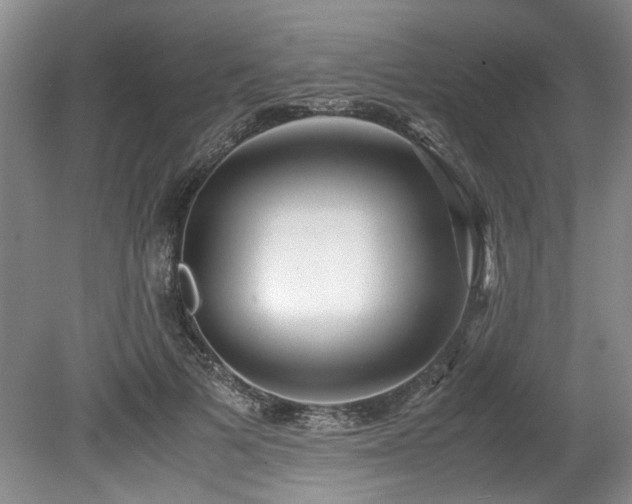 X0000078840697200611131149