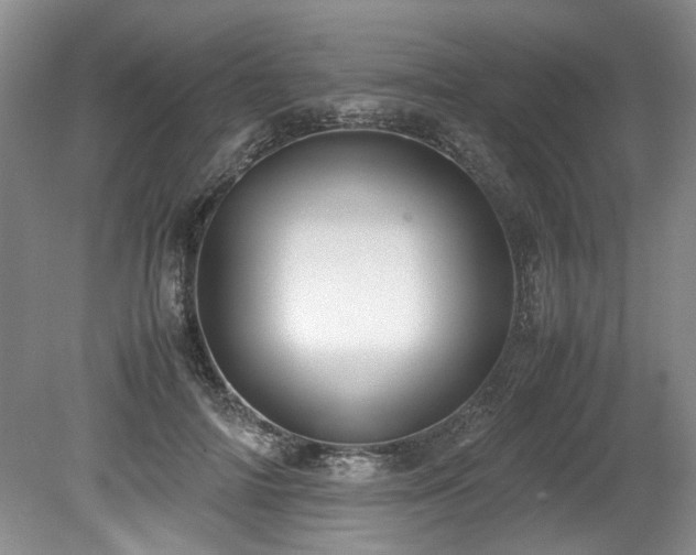 X0000078840698200611131149