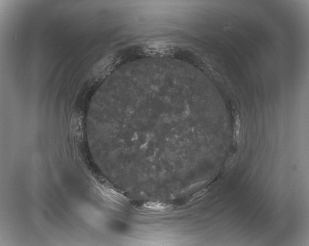 X0000078840699200611131149