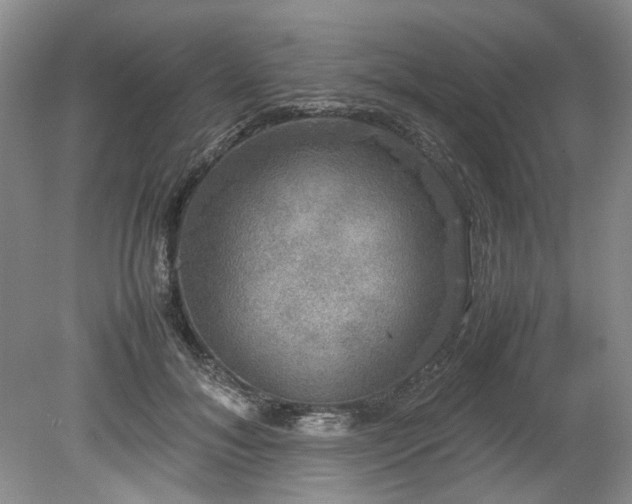 X0000078840700200611131149