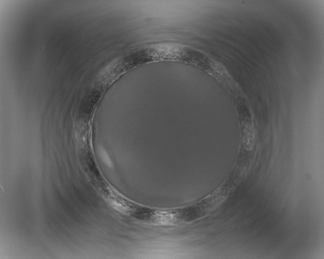 X0000078840701200611131149