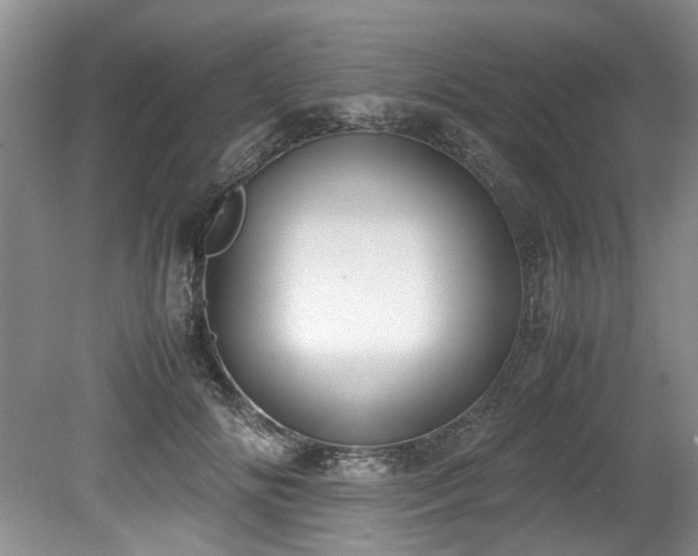 X0000078840702200611131149