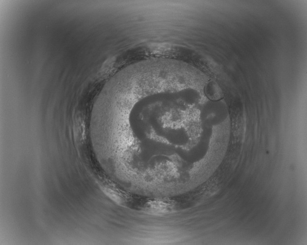 X0000078840703200611131149