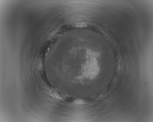 X0000078840704200611131149