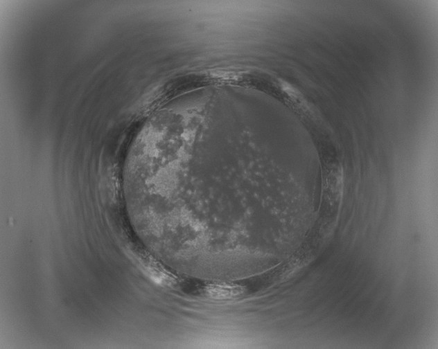 X0000078840707200611131149