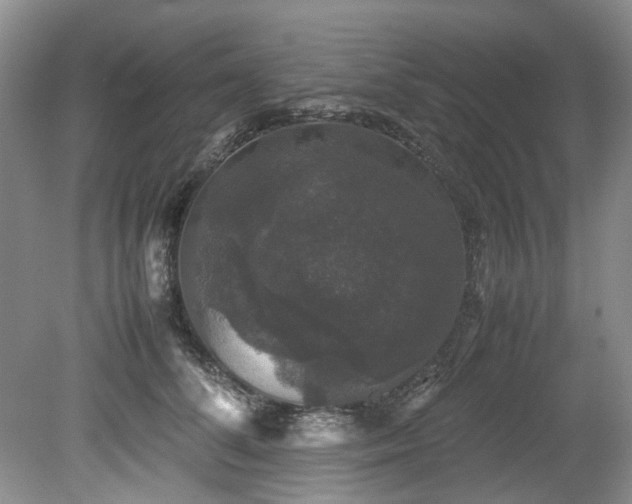 X0000078840708200611131149