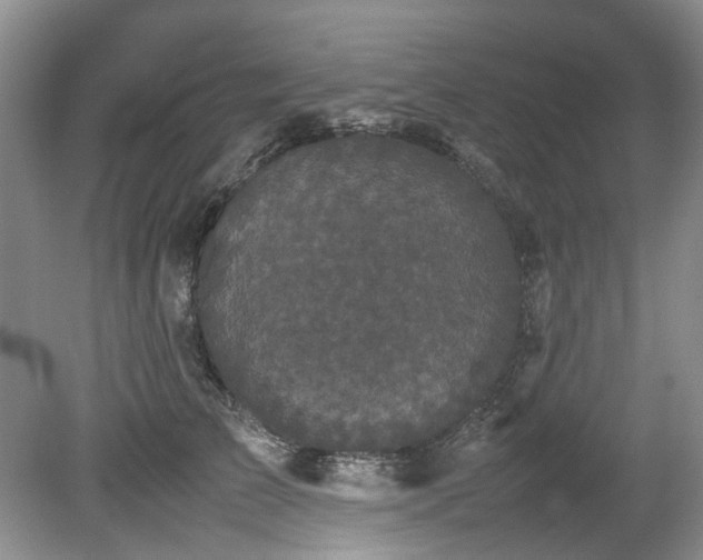 X0000078840709200611131149