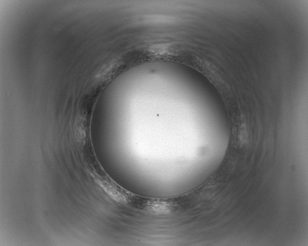 X0000078840710200611131149