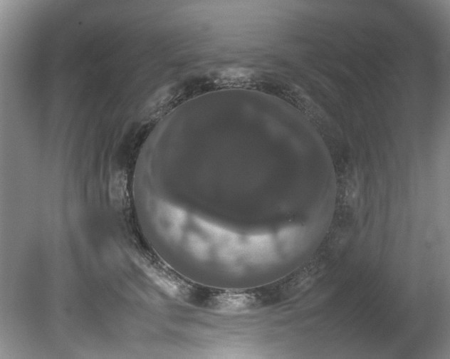 X0000078840711200611131149