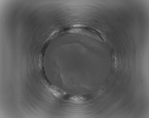 X0000078840712200611131149