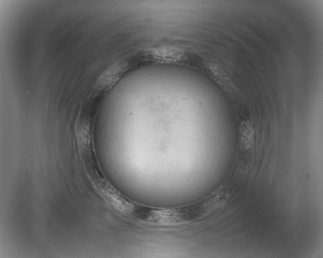 X0000078840713200611131149