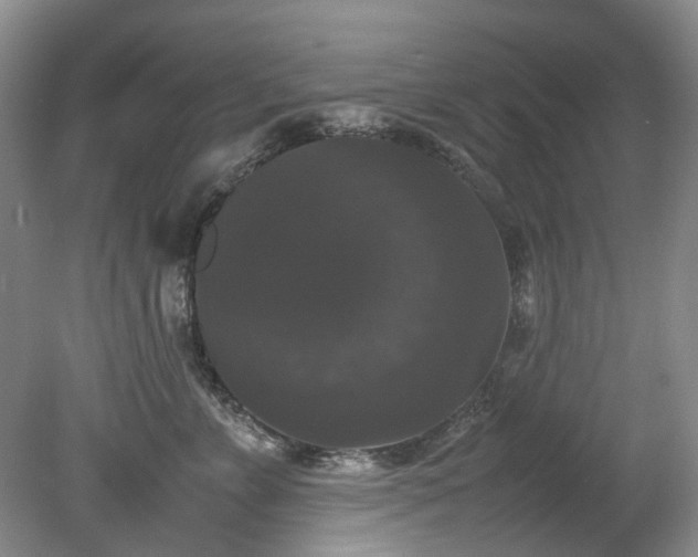 X0000078840715200611131149