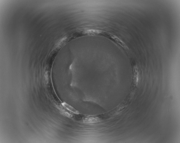 X0000078840716200611131149