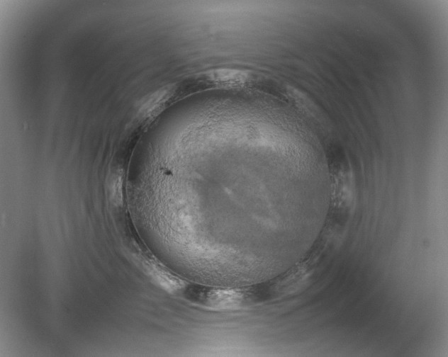 X0000078840717200611131149