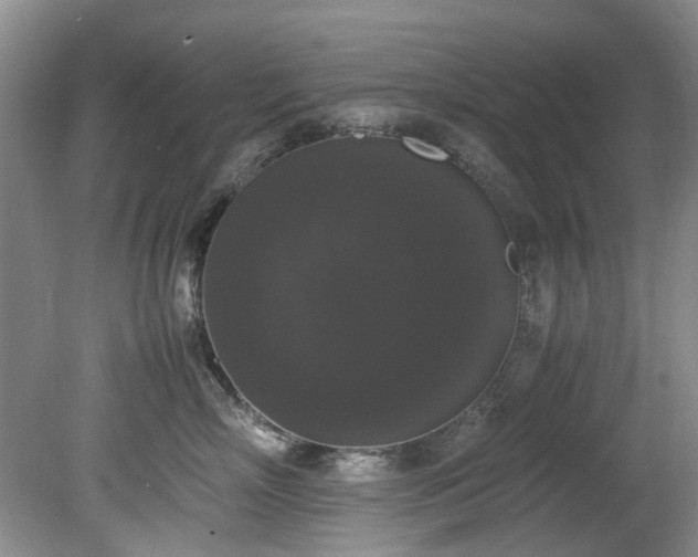 X0000078840718200611131149