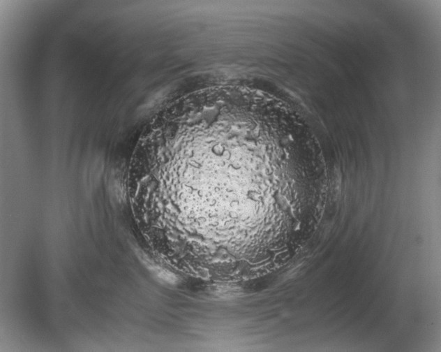 X0000078840719200611131149