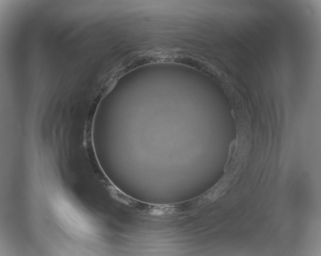 X0000078840720200611131149