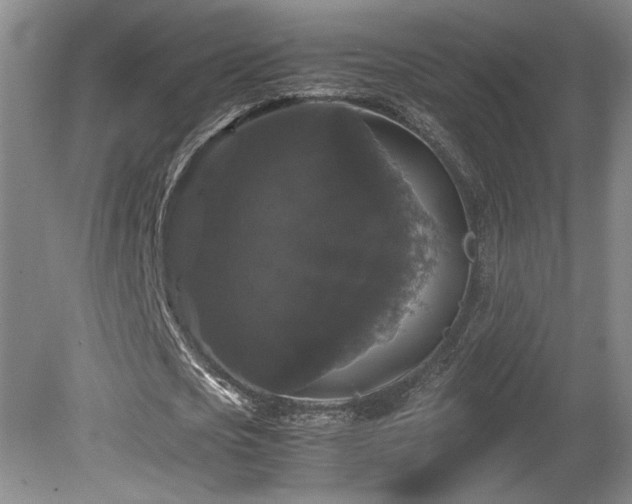 X0000078840721200611131148