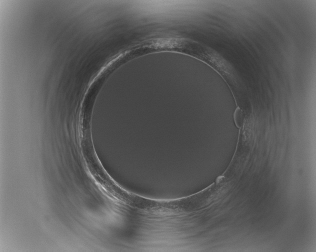 X0000078840722200611131148