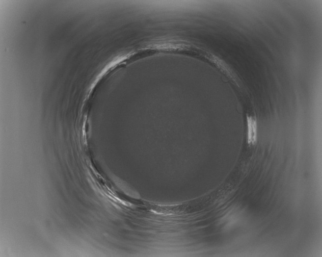 X0000078840723200611131148