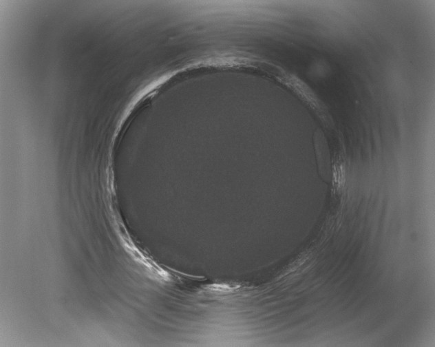 X0000078840724200611131148