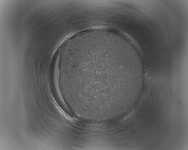 X0000078840725200611131148