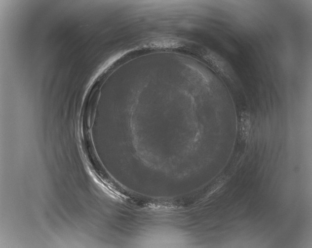 X0000078840726200611131148