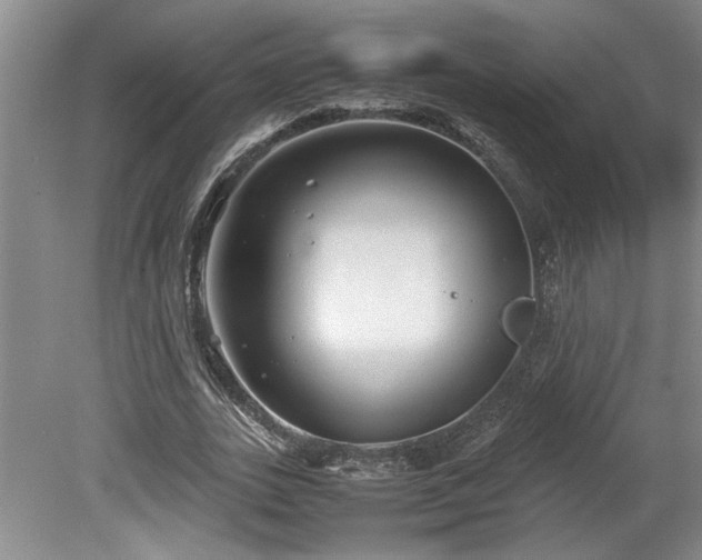 X0000078840727200611131148