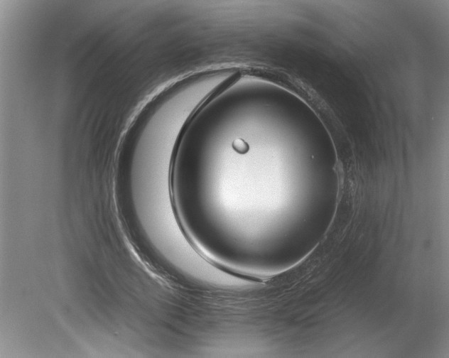 X0000078840728200611131148