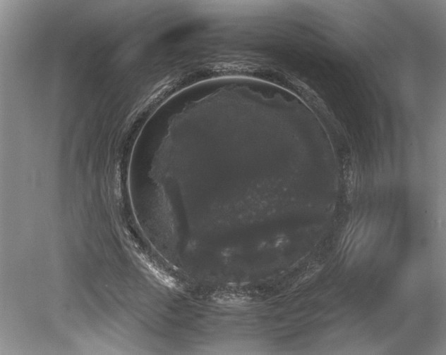 X0000078840729200611131148