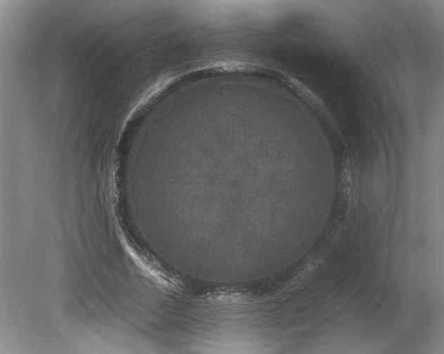 X0000078840730200611131148