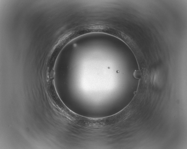 X0000078840731200611131148