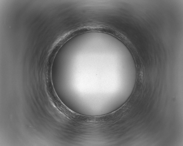 X0000078840732200611131148