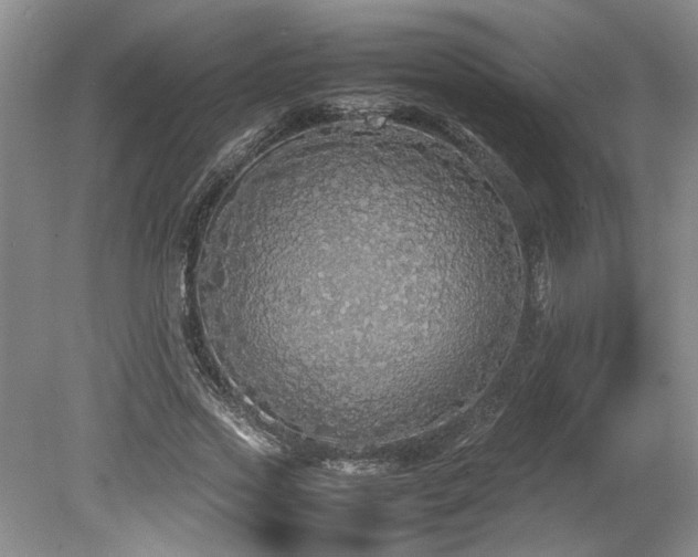 X0000078840733200611131148