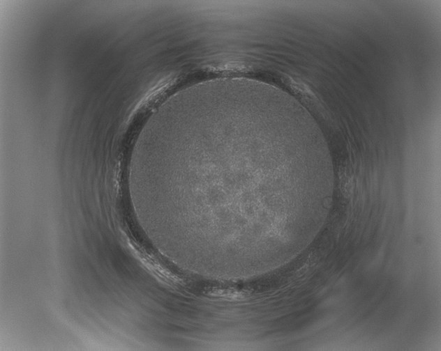 X0000078840735200611131148