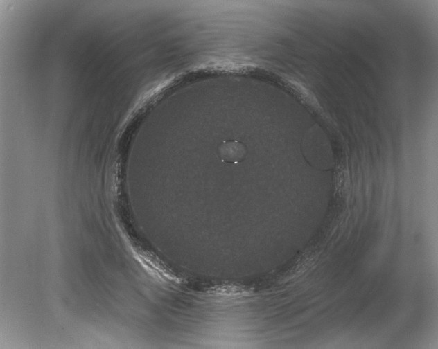 X0000078840736200611131148