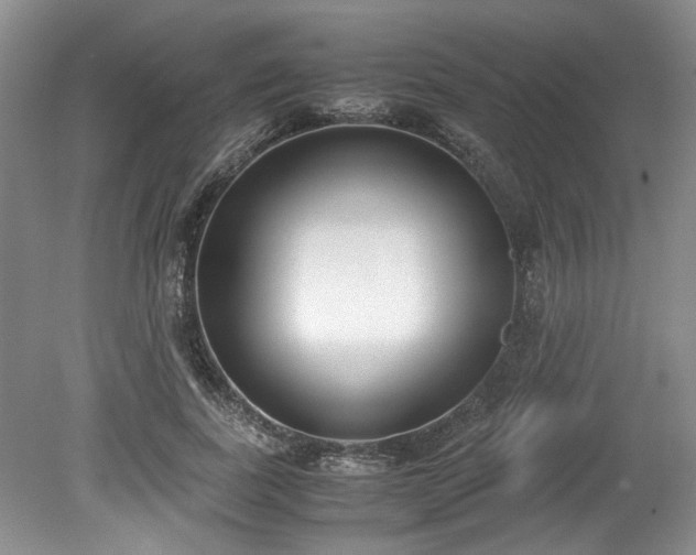 X0000078840739200611131148