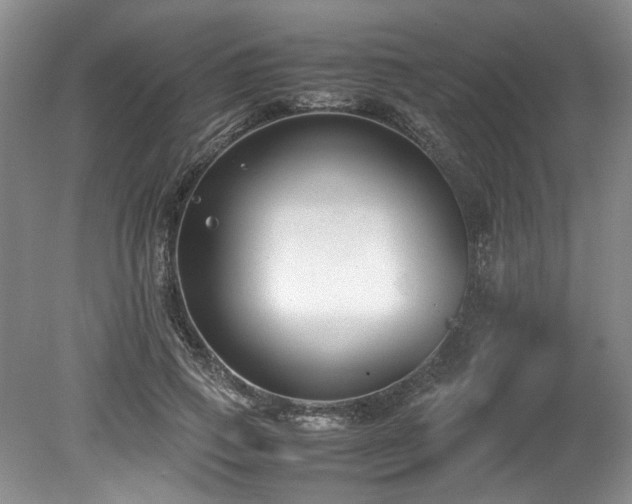 X0000078840741200611131148