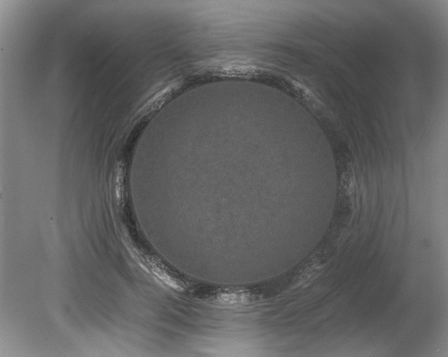 X0000078840744200611131148