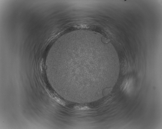 X0000078840747200611131148